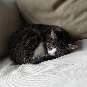 Meet your Posher, Brian